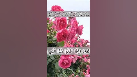 مقطع من سورة البقرة لفضيلة الشيخ المقرئ د.أحمد عبد الرحمن الخجا الدمشقي الشافعي 🌸