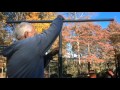 TRELLIS – HOW TO ASSEMBLE – GROWING GREEN BEANS (OAG 2015) TRELLIS – HOW TO ASSEMBLE – GROWING GREEN BEANS (OAG 2015)