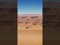 Meep Meep! 🚀 Coyote vs Roadrunner: The Realistic Ending 💀😂#shorts #funny #animals