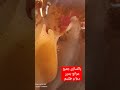 پاکسازی جمیع موانع بدون بد بخت شدن در گرداب دعاها و طلسم ها   786