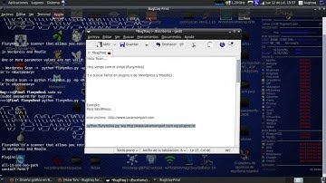 Flunym0us(t31m0)(bugtraq-final)
