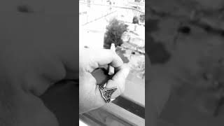 Duygusal Whatsapp Durum Giden Gitsin Sen Kal Ölene Kadar...