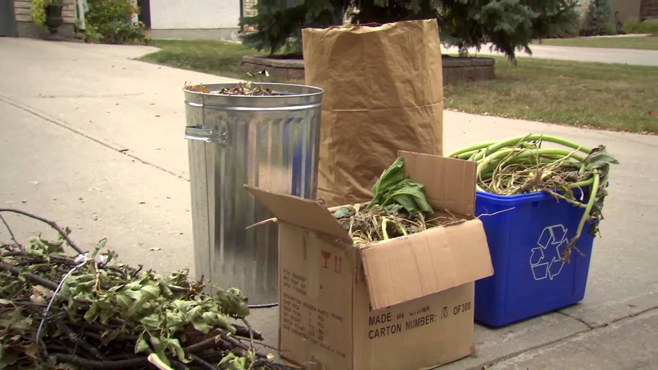 Yard Waste Pickup