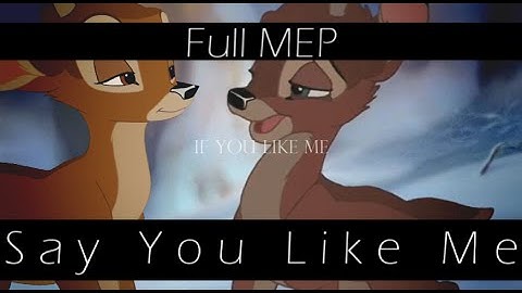 Say You Like Me | Animash MEP