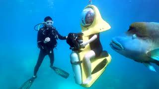 Green Island and Great Barrier Reef Adventure