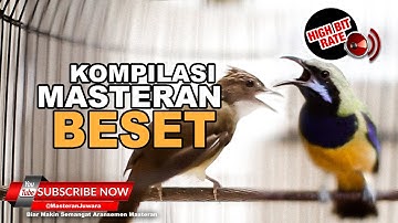 #1 🔴Suara Masteran Cucak Cungkok vs Cucak Jenggot Sangat Tajam dan Pedas❗️