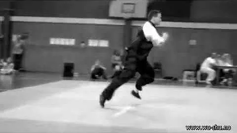 Czech Wushu Open 2009 by Kim Gibson