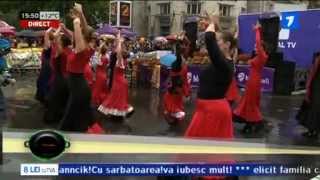 Flamenco Flamenco
