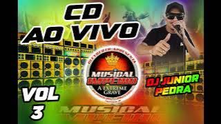CD AO VIVO === 2022 === VOL 3 === DJ JUNIOR PEDRA === CENTRAL DO FORRÓ