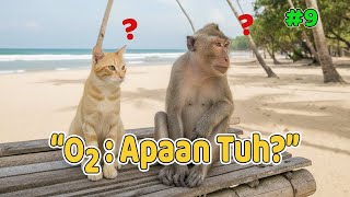 Download Lagu #009 KOMPILASI  KOCAK OYEN, ONYET #kucinglucu  #kucingangoralucu #cat #funnycat #o2oyenonyet MP3