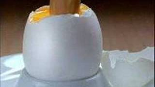 günde bir yumurta kıran kazanır yumbir