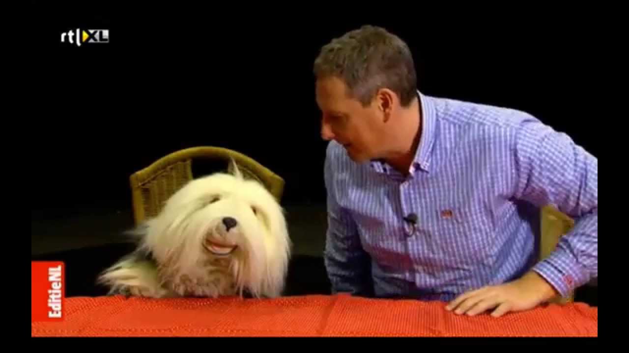 Samson en Gert @ RTL Nieuws