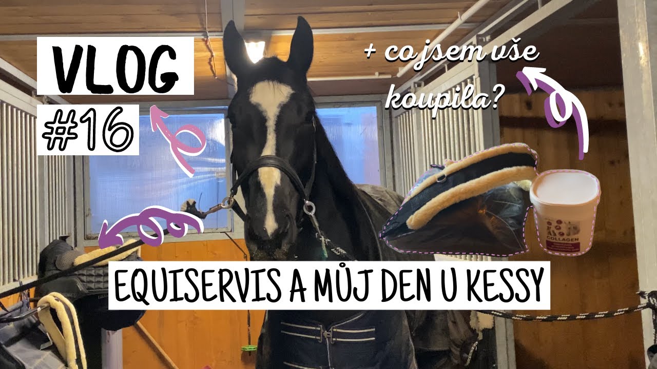 Vlog #16 Znovu jsem se zruinovala v Equiservisu a parádní ježdění, můj den u Kessy