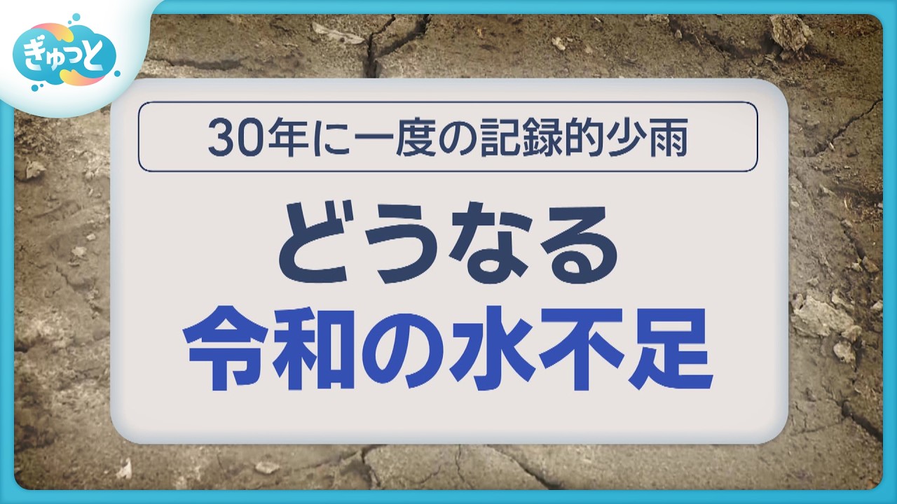 ダム底に集落跡露わに…どうなる水不足【ぎゅっと】（2026年2月24日OA）