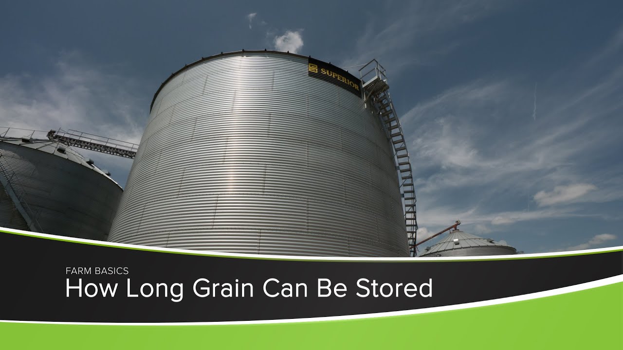 Как долго можно хранить зерно?