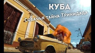 Куба. Собачьи тайны Тринидада. Подпольный бензин.