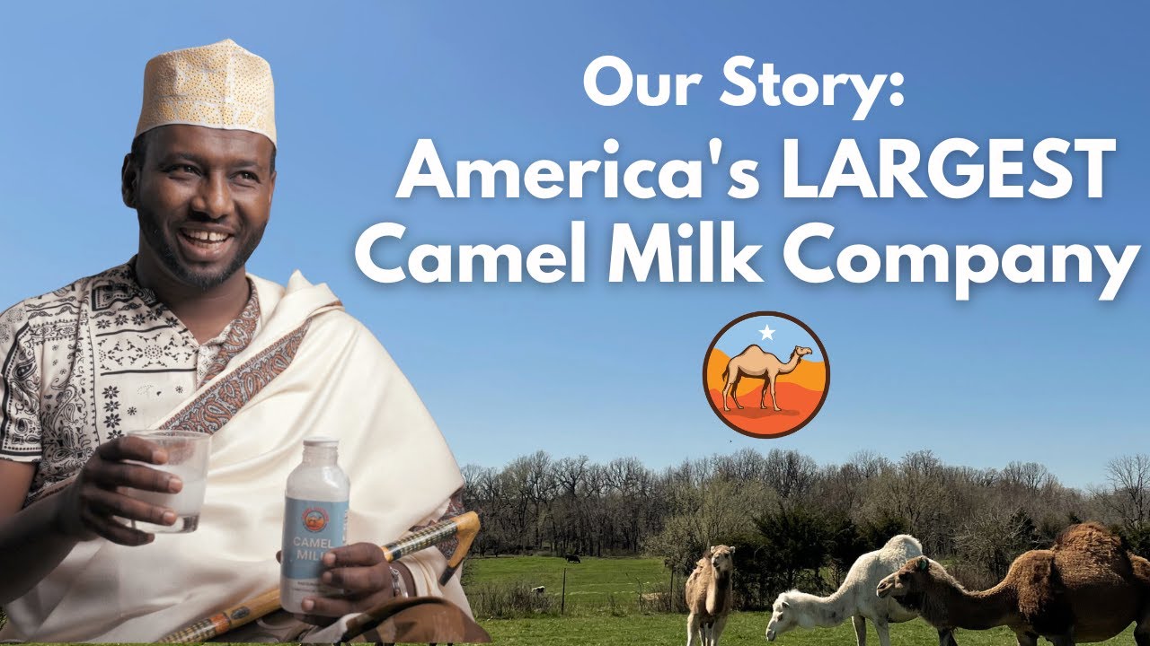 The Largest Camel Milk Company in the United States