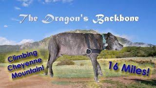 The Dragon's Backbone [4K Vlog]