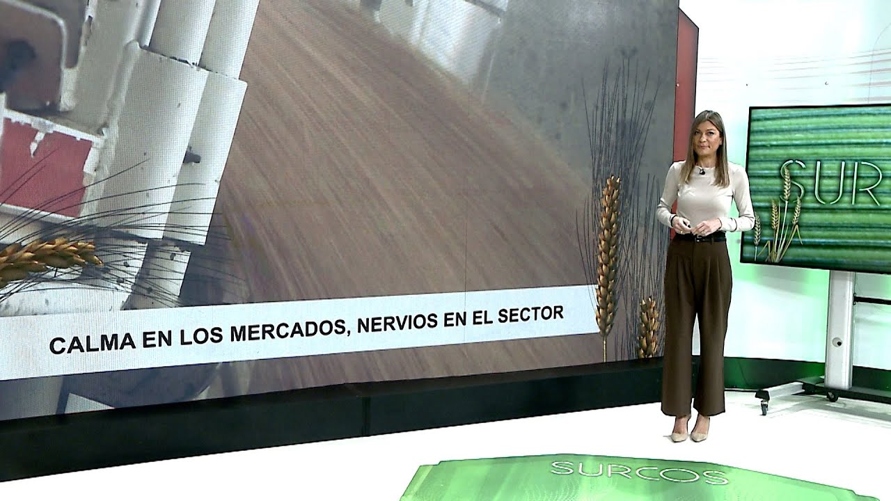 T17/E17: Evolución de los precios agrícolas según el contexto mundial