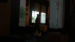 VID 20210527 195655