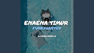 ENAENA TIMUR FVNKYSANTUY