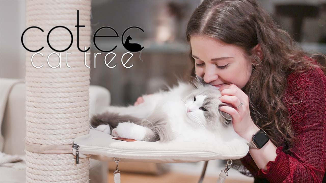cotec cat tree