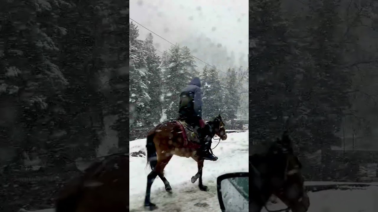 First snow in Sonamarg ❄️❤️