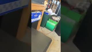 DEFINITIVE TECHNOLOGY PowerField 15 Subwoofer; Tested