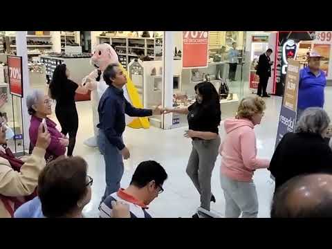 LOS PASTELES VERDES EN PLAZA DE LAS ESTRELLAS/ CD DE MÉXICO