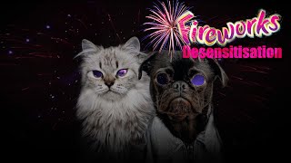Fireworks Noise Desensitization for Cats & Dogs by Sound Sanctuary for Pets 922 views 1 year ago 1 hour