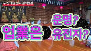 위산경책03강-온우주가 하나의 에너지/사성재, 집성재/신중기도가 좋다