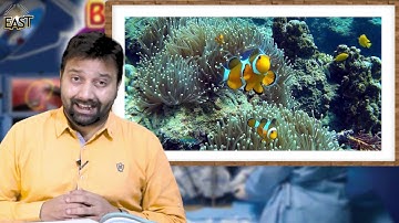 Class 5 School Day 063 Science Chapter 9 Day 2