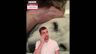 Everytime That I Watch Marley & Me...