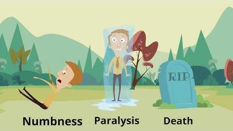 TTX and Voltage gated Sodium Channels