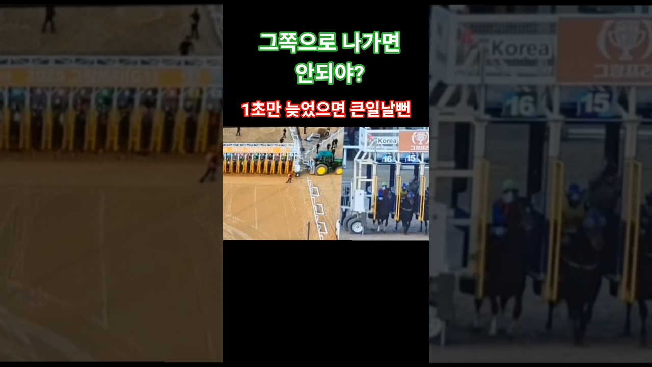 #반대로 나갔어야지#경마#말 #달려라말 #shrots