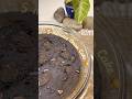 5 min Oreo Cake🥧Microwave Recipe✅ #shortvideo