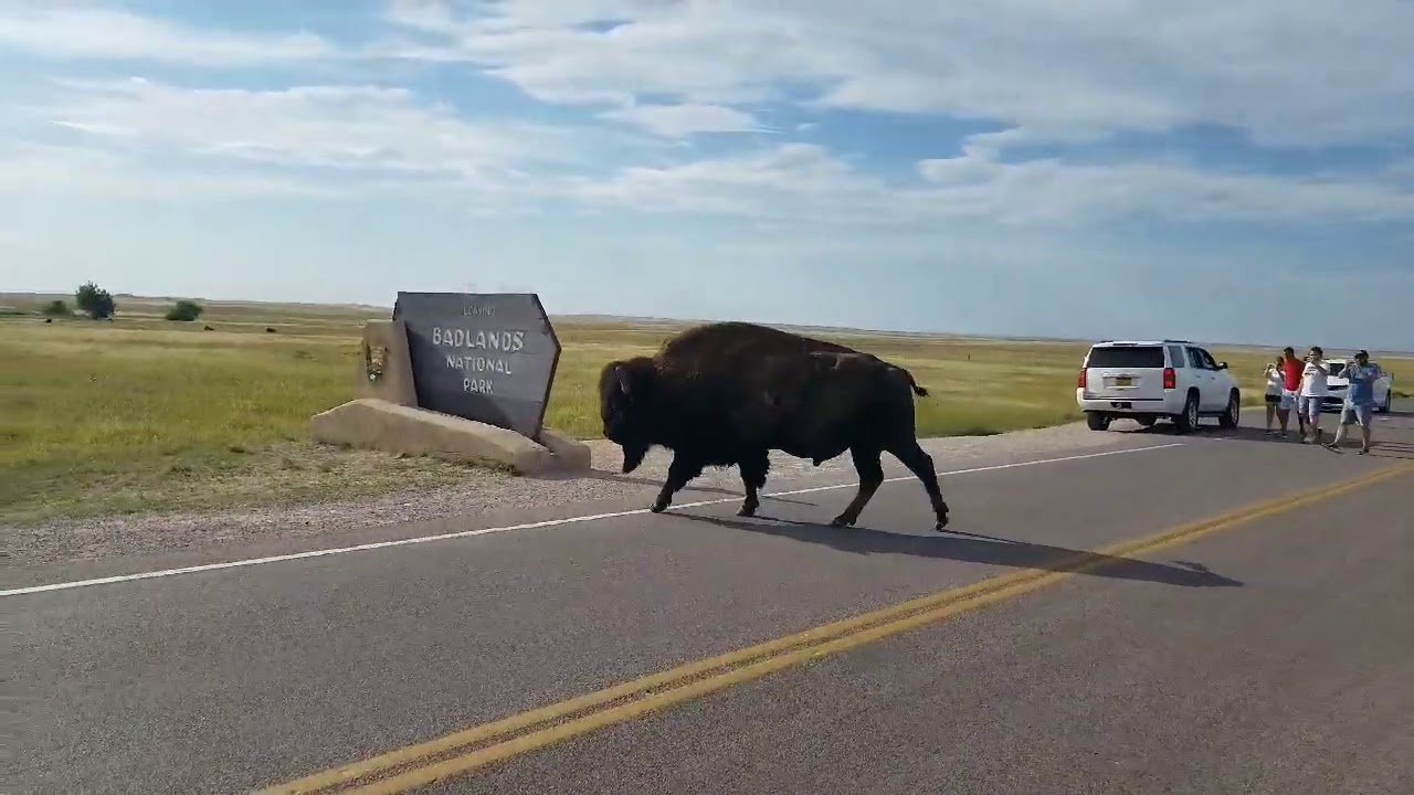 Day 133, Badlands National Park