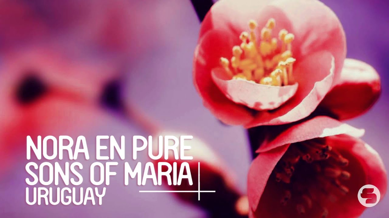 Guarda Nora En Pure & Sons Of Maria - Uruguay (Original Mix) su YouTube Guarda Nora En Pure & Sons Of Maria - Uruguay (Original Mix) su YouTube