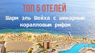 Топ 5 отелей Шарме эль Шейха с шикарным коралловым рифом