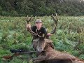 #14 Red Stag, Early Morning Roar Hunt