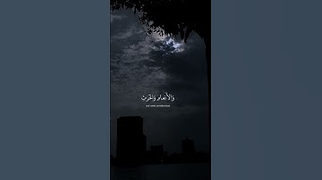 القارئ عبدالرحمن مسعد|| زُيِّنَ لِلنَّاسِ حُبُّ الشَّهَوَاتِ|| #quran #قران_كريم