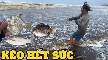 MÙA BIỂN ĐỘNG - ĐỔ MỒ HÔI MỚI KÉO ĐƯỢC TẤM LƯỚI LÊN BỜ || BỤI VLOG