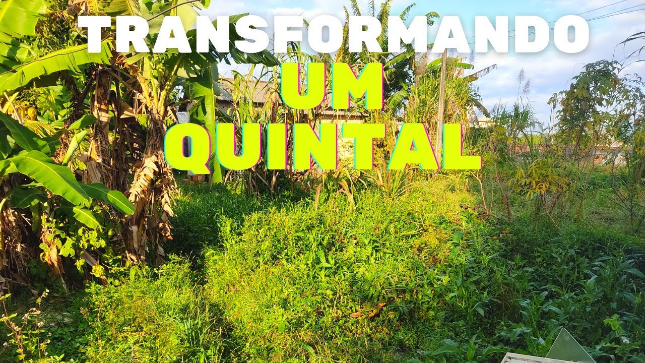 Transformação chocante do quintal abandonado - resultado satisfatório