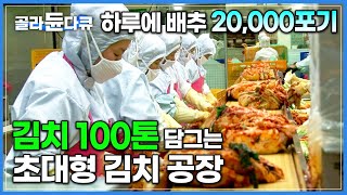 하루만에 2만 포기 배추김치가 뚝딱! 매일 '김치 100톤' 담그는 전국 최대 규모 초대형 김치 공장│한국 대표 음식 김치 대량 생산 과정│김장│극한직업│#골라듄다큐