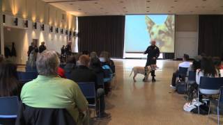 Hawk TV News Package: K9 Demonstration