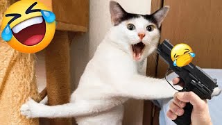 The Funniest Dogs and Cats Videos 2024 To Crack You Up All Long Day #15