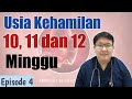 USIA KEHAMILAN 10,11,DAN 12 MINGGU (eps 4) - TANYAKAN DOKTER