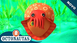 Octonautas - O Choco Astuto Episódio Inteiro 48 Primeira Temporada