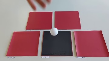 Spinlab Red Sponges with Vortex