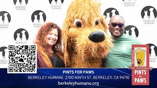Pints For Paws 30 Sec PSA 1 by Berkeley Humane No views 57 minutes ago 31 seconds